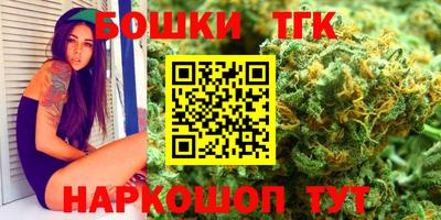 тгк Партизанск